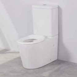 Zen Raised Height Rimless Flush Back to Wall Toilet Suite – DevSpec